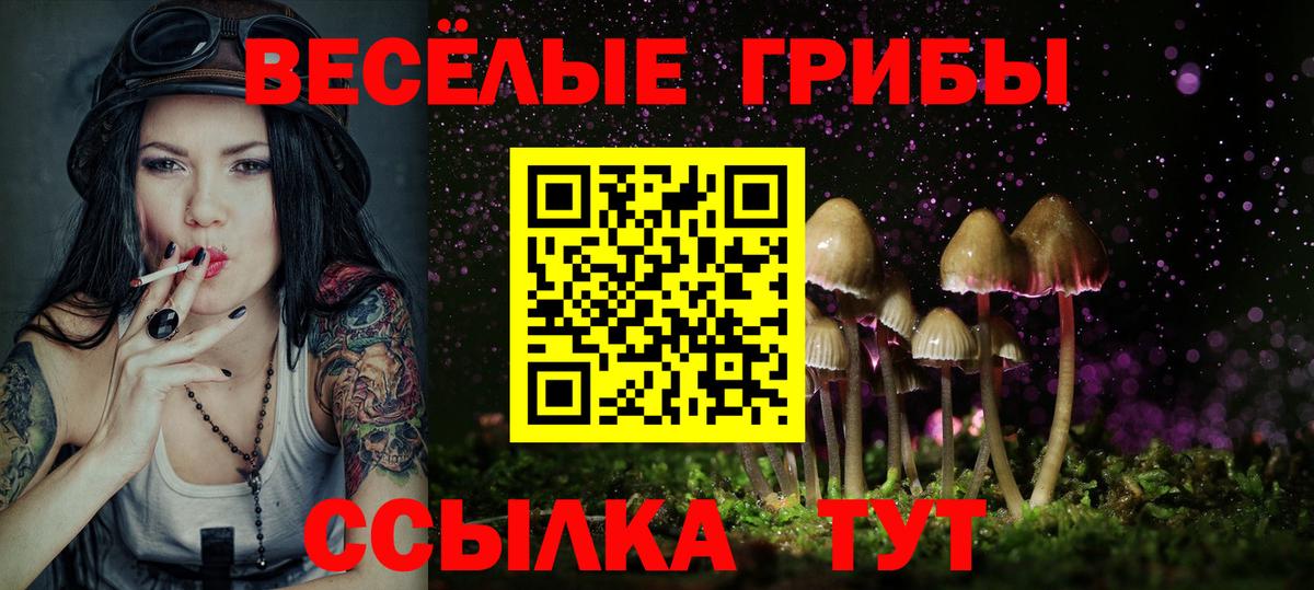 Псилоцибиновые грибы мицелий Искитим
