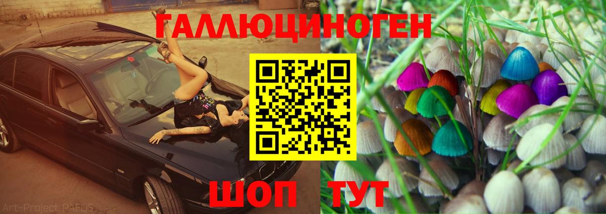 Искитим  Галлюциногенные грибы Magic Shrooms  Вход с VPN 